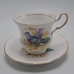 Queen's Rosina China Birds Of America Tea Cup & Saucer Set